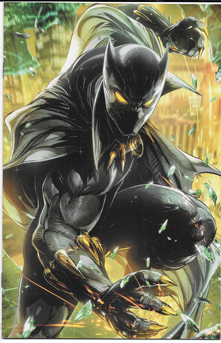 Black Panther 5 2018 battle Lines Cover VF