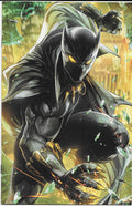 Black Panther 5 2018 battle Lines Cover VF